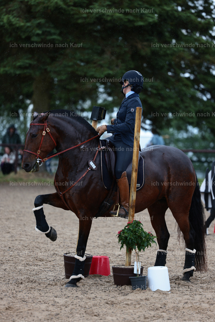 KlasseL_Stoibphotography_CAM23267.JPG | working equitationturnier fotograf videograf stoibphotography marixx film working equitation deutschland reitsport turnierfotografie eventfotografie equestrian events