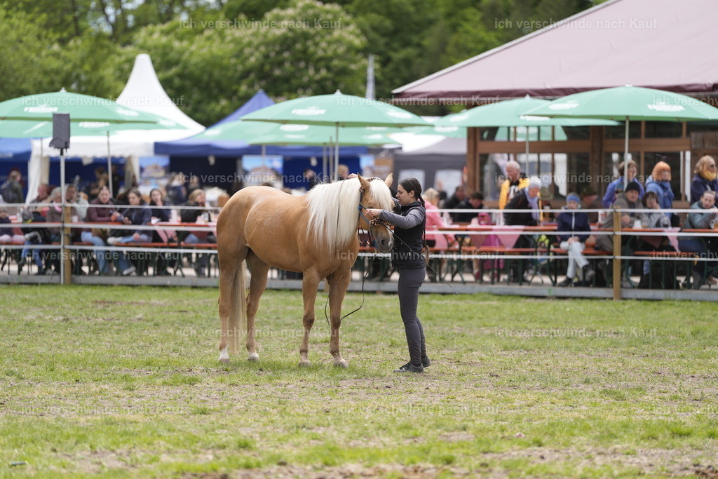 PI26_Show_BTS_StoibphotographyPI26_Show_BTS_Stoibph_DSC1001.JPG.JPG | working equitationturnier fotograf videograf stoibphotography marixx film working equitation deutschland reitsport turnierfotografie eventfotografie equestrian events
