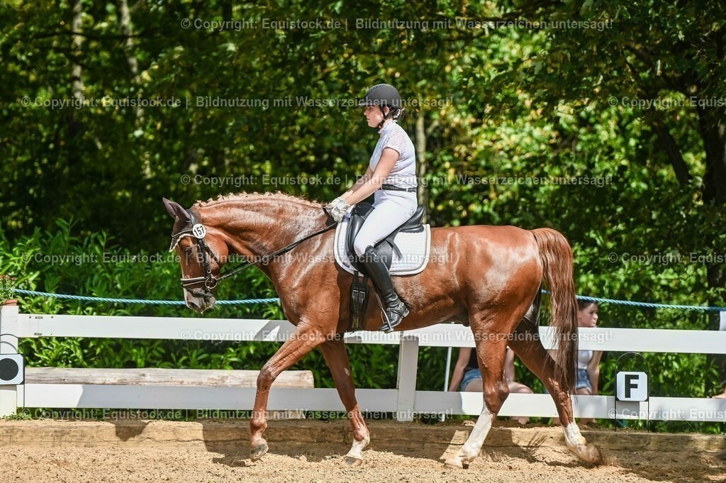 20230715_02_Dressurreiterprüfung Kl.L_0238 | equistock