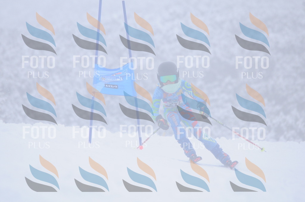 C2852 | holidayphoto