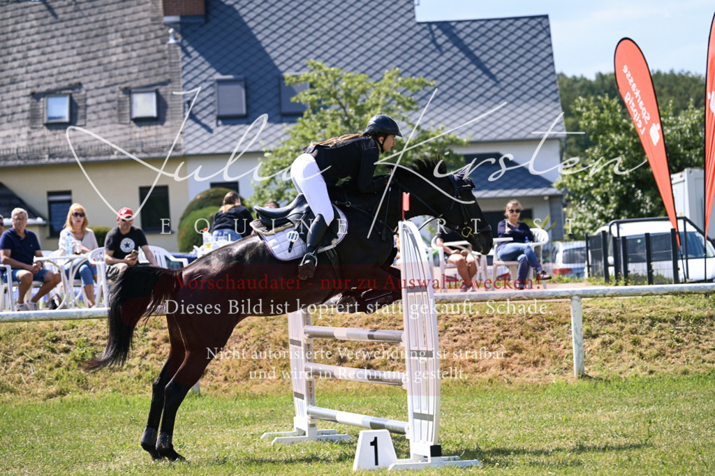 DSC_0495 | Pferde- und Turnierfotografie in Westsachsen. Pferdeportraits, Auftragszeichnungen und intuitive Kunst.