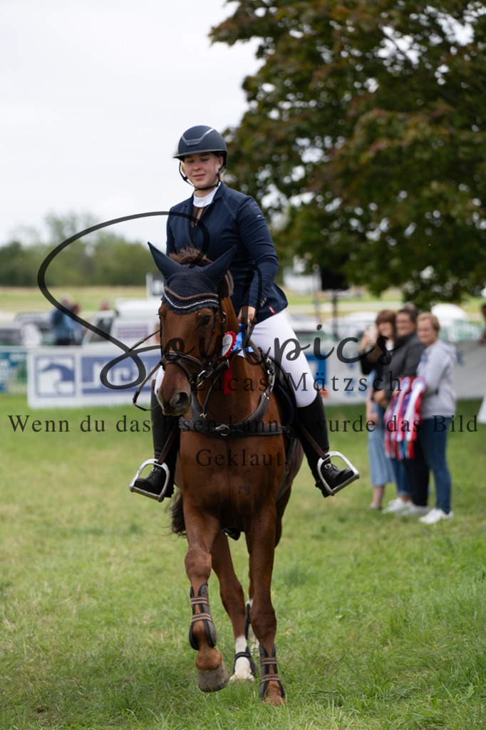 A7V05983 | Pferdefotograf