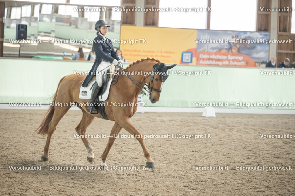 _D5A1413 | Emotionale Pferde- & People-Fotografie rund um Heidelberg, Leimen & Umgebung. Natürliche Fotos von Pferd, Mensch & Familie. Jetzt Termin sichern!