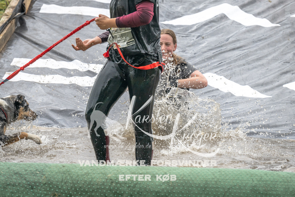 1426_ZZ90402 | kk-dogfotos