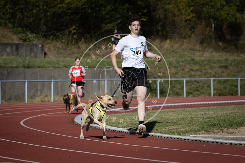 Pfotenfotografie_DV3A8139 | Hundefotografie, Tierfotograf, Pfotenfotografie, Fotoshooting Hund, Hunde Portrait, Hundesport, Hundeportraits, Heideshooting, Hunde, Sportfotograf, Hundefotograf, Turnierhundsport, THS,  - Realisiert mit Pictrs.com