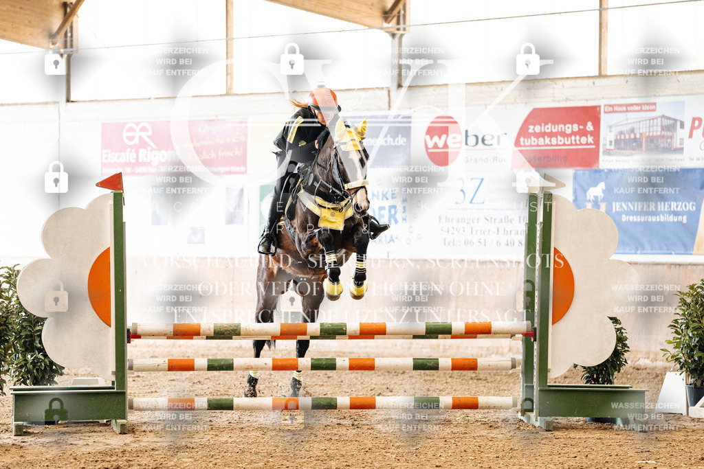 CK905398 | Turnierfotografie Pferdefotografie Trier Rheinland-Pfalz Pferdesport Reitsport Tierfotografie Sportfotografie Pferdevideo Pferdevideografie Equestrianvideography equestrianphotography  - Realized with Pictrs.com