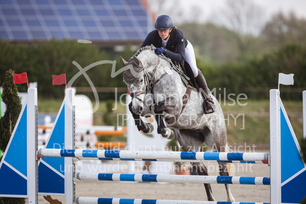 250419_Frühlingsfest_Springpf-L-303 | Deine schönsten Turniermomente als professionelle Fotos! Entdecke hochwertige Pferdesport-Fotografie im Online-Shop. Jetzt Fotos finden & bestellen!