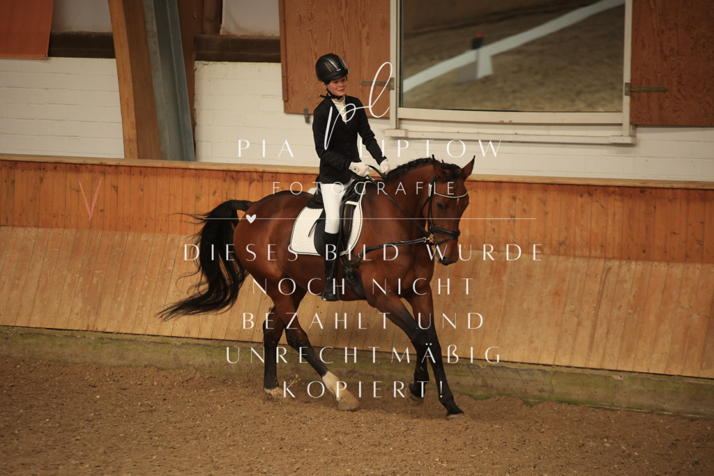 IMGT5414 | pl-fotografie