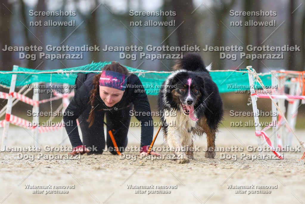 Dog Paparazzi - Strongdog North Mrz26-3854 | Dog Paparazzi Jeanette Grottendiek Fotografie & Videografie - Realisiert mit Pictrs.com