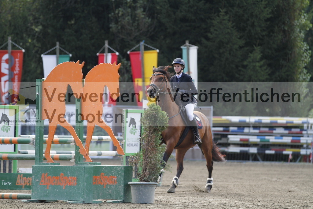 _MG_1102 | equestrian-live-com