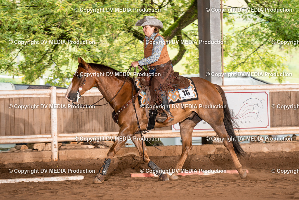 Erbach Tag 2-590 | dv-media-shop - Realisiert mit Pictrs.com