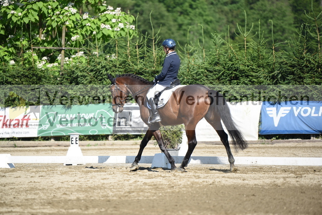 DSC_7440 | equestrian-live-com