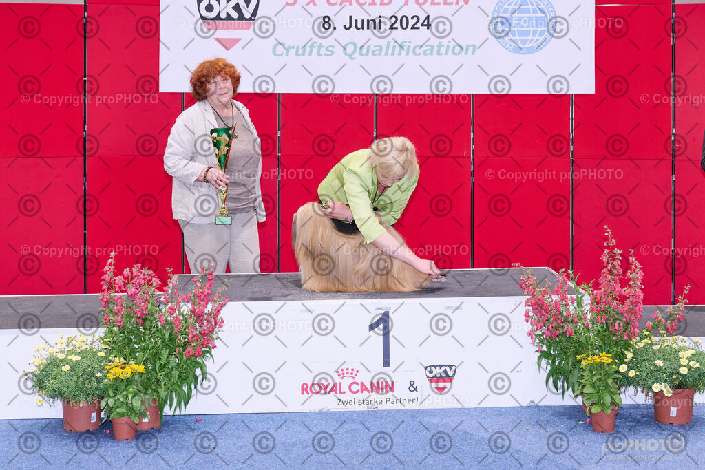 202406_ÖKV-IHA-Tulln24_NZ9_8740 | proPHOTO - Realisiert mit Pictrs.com