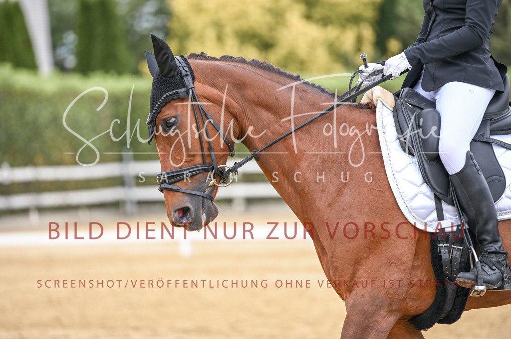 Schugtsche-Aluta25-43.EDressur -2 | Schugtsche Fotografie - Realisiert mit Pictrs.com