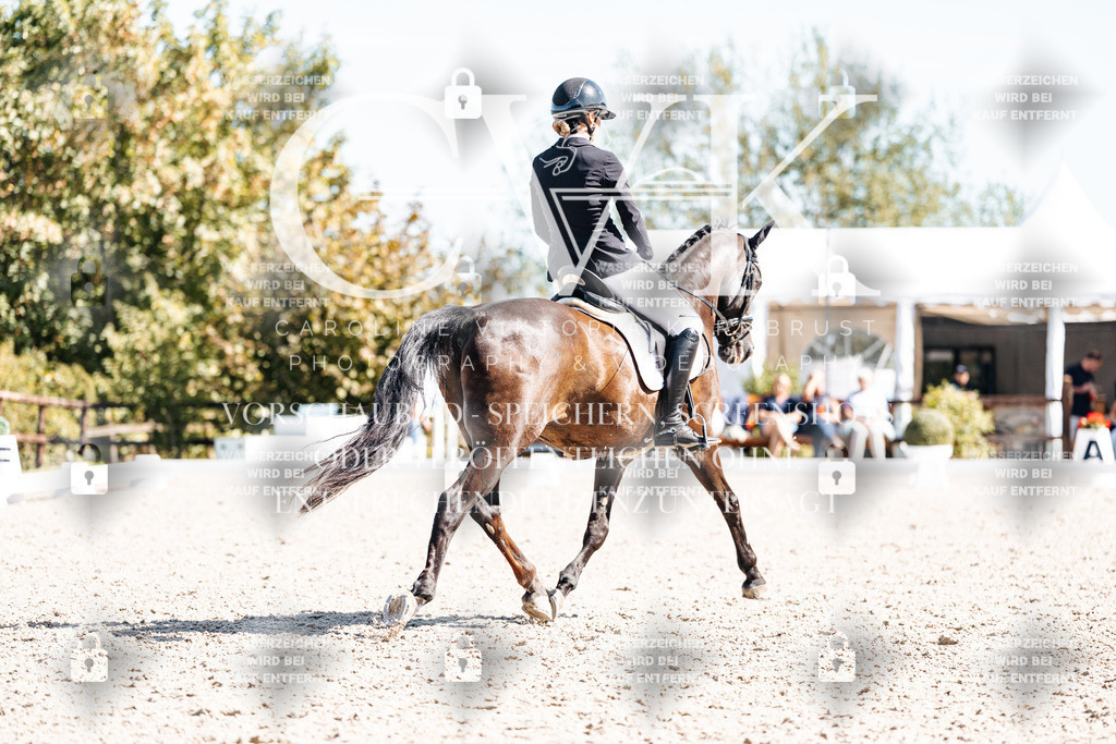 CK909457 | Turnierfotografie Pferdefotografie Trier Rheinland-Pfalz Pferdesport Reitsport Tierfotografie Sportfotografie Pferdevideo Pferdevideografie Equestrianvideography equestrianphotography  - Realisiert mit Pictrs.com