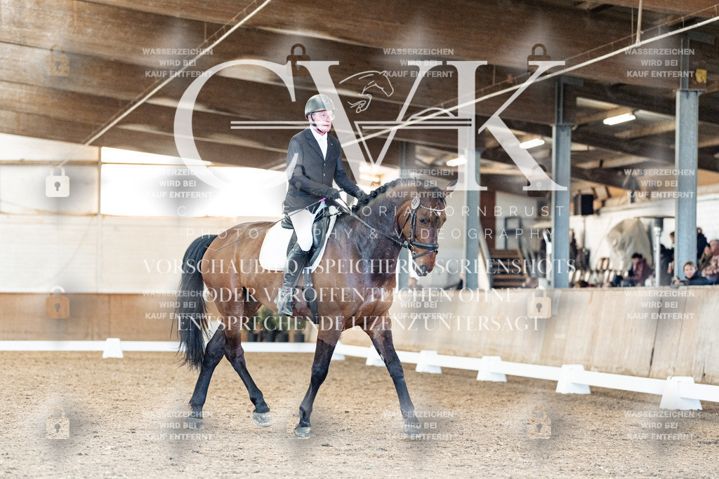 CK909007 | Turnierfotografie Pferdefotografie Trier Rheinland-Pfalz Pferdesport Reitsport Tierfotografie Sportfotografie Pferdevideo Pferdevideografie Equestrianvideography equestrianphotography  - Realisiert mit Pictrs.com