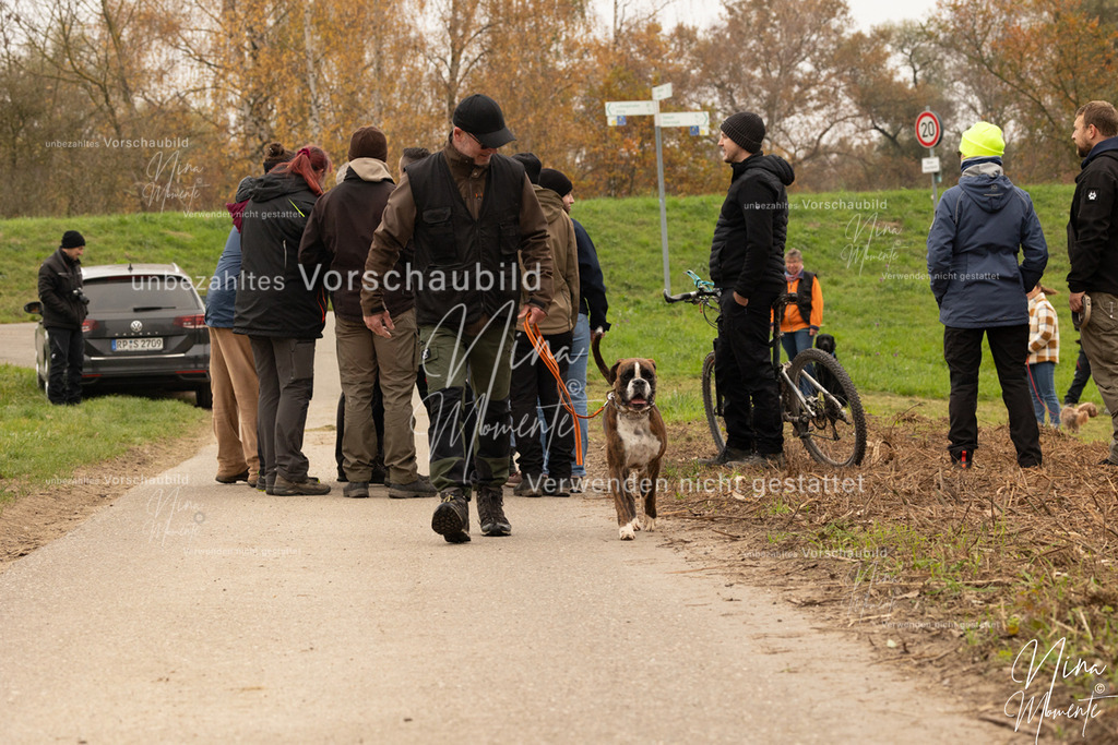 _16A0824 | Einzigartige Fotos von Hunden & Menschen –Actionfotos, Portraits, Vereinsaufnahmen & Paarshootings – authentisch, lebendig & mit Herz.