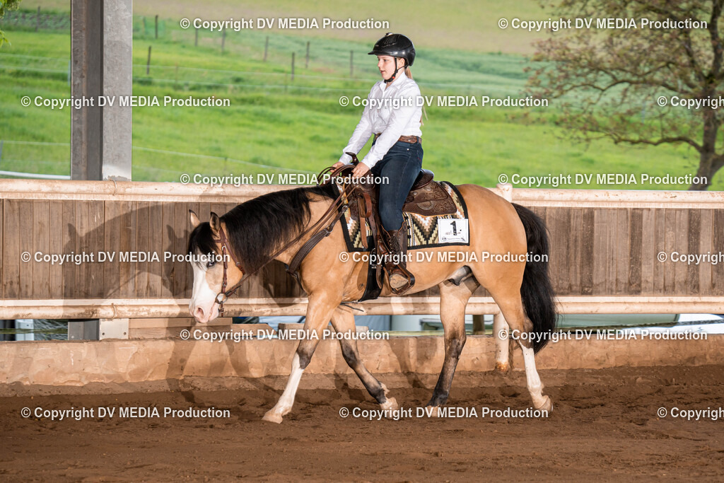 Erbach Tag 1-1016 | dv-media-shop - Realisiert mit Pictrs.com