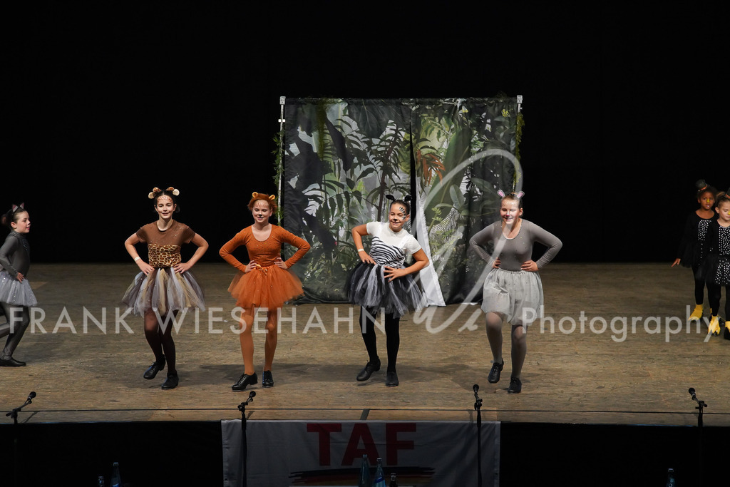 steppdm22_2898 | FRANK WIESEHAHN MEDIA - Realisiert mit Pictrs.com