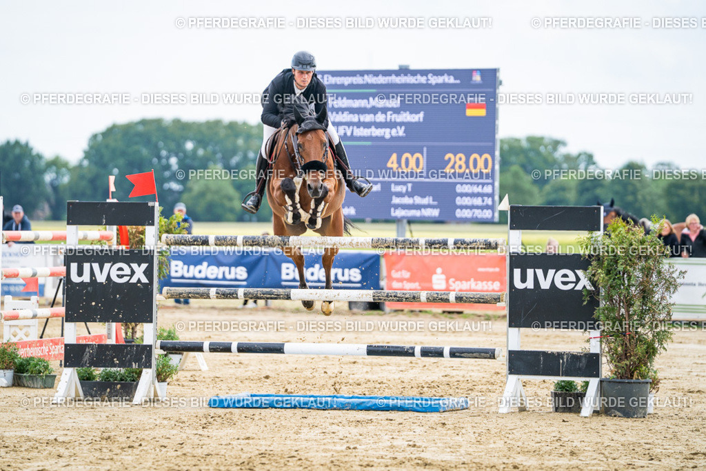 DSC06923 | Pferdegrafie