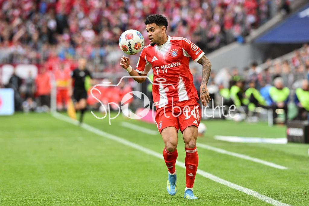 FC Bayern München - VfB Stuttgart | MUNICH, GERMANY - 19. APRIL: Luis DIAZ (FC Bayern Munich 14) during the Bundesliga Match between FC Bayern Munich vs. VfB Stuttgart at Matchday 30 at Allianz Arena / DFL REGULATIONS PROHIBIT ANY USE OF PHOTOGRAPHS AS IMAGE SEQUENCES AND/OR QUASI-VIDEO