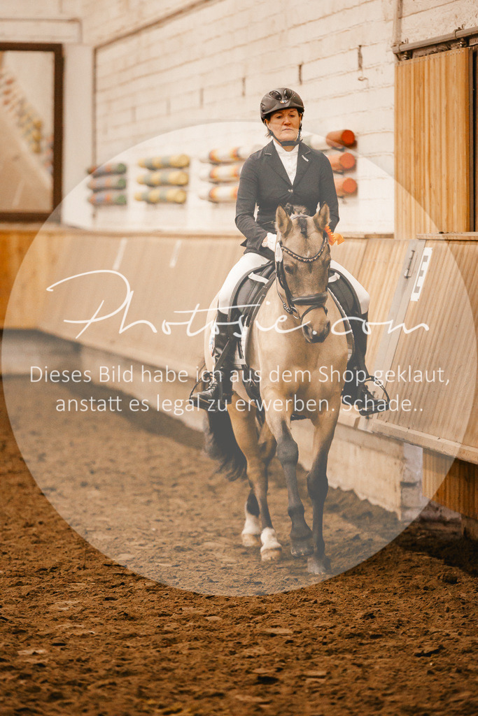 3I6A1509 | Stimmungsvolle Portraits und Reitsportfotografie im Ruhrgebiet und im Münsterland.

Pferdefotografie, Hundefotografie, Tierfotografie, Reportagen, Portraits von Tier und Mensch, Turnierfotografie in Bochum, Recklinghausen, Marl, Haltern am See, Dülmen.. - Realisiert mit Pictrs.com