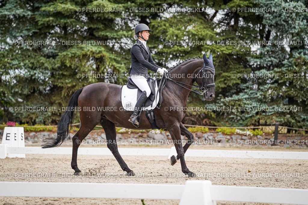 DSC03621 | Pferdegrafie