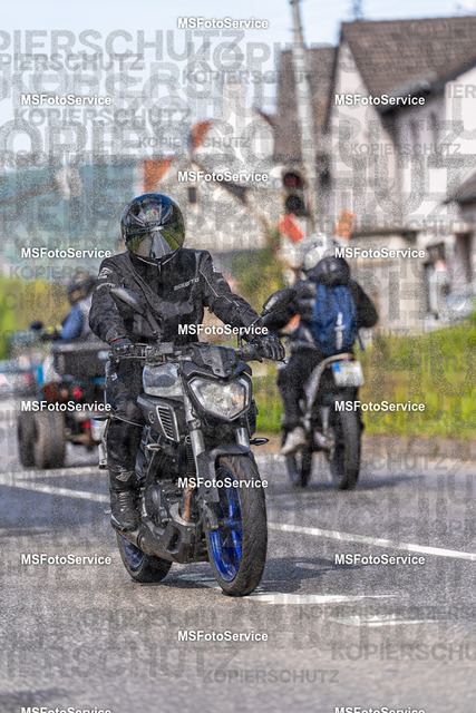 MSFotoService-91 | MSFotoService - Realisiert mit Pictrs.com