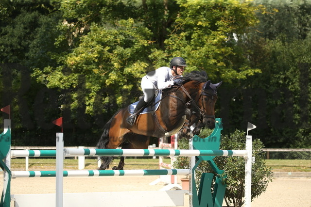 Waiblingen_2022_Springen_Kl.S_Marvin Frey_Ferstlhof_s Cavalinka (3) | Alle Fotos der Reiterjournal Fotografin Doris Matthaes im Reiterjournal Online-Fotoshop. - Realisiert mit Pictrs.com