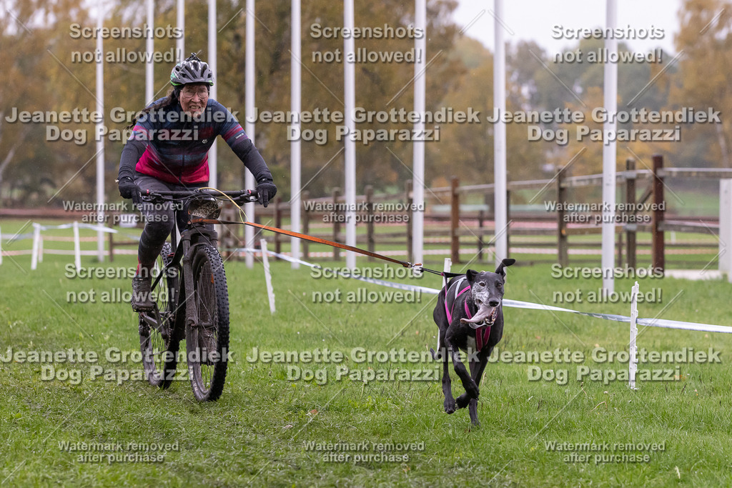 Dog Paparazzi - SD CaniX Championship 2025-936 | Dog Paparazzi Jeanette Grottendiek Fotografie & Videografie - Realisiert mit Pictrs.com