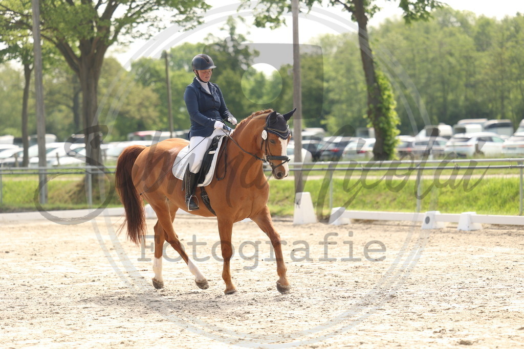 994A6438 | sabrinanicolaifotografie - Realisiert mit Pictrs.com