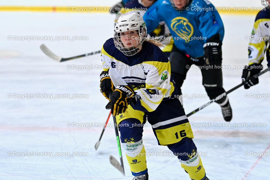 BST_6708 | hockey sports photos, Pressefotos, Sportfotos, hockey247, win 2day icehockeyleague, Handball Austria, Floorball Austria, ÖVV, Kärntner Eishockeyverband, KEHV, KFV, Kärntner Fussballverband, Österreichischer Volleyballverband, Alps Hockey League, ÖFB, 