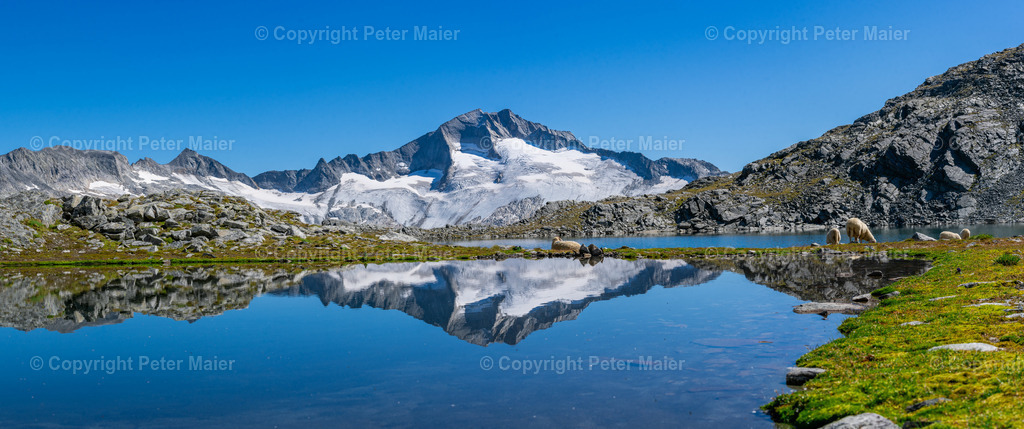 Schwarzhornsee-223 | piet_flosse