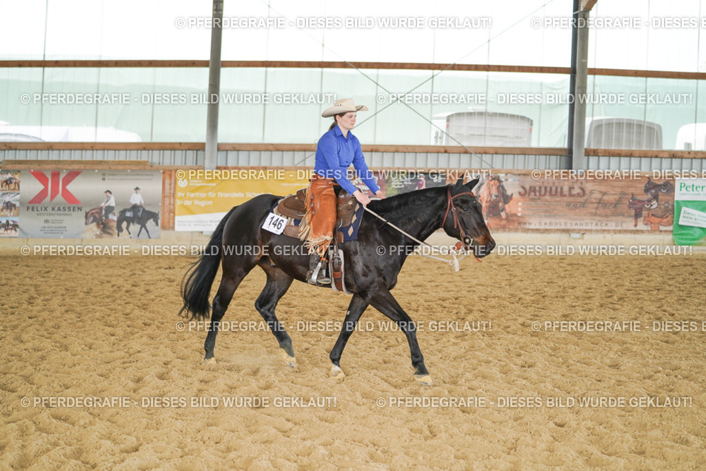 DSC05275 | Pferdegrafie