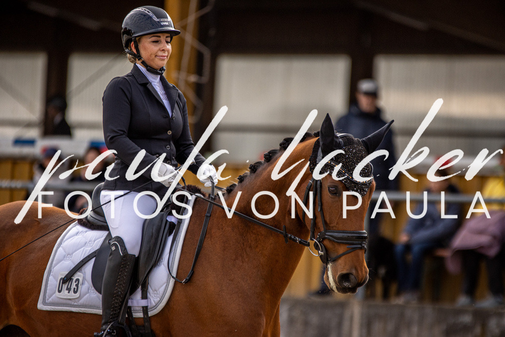 IMG_3137 | Erleben Sie dynamische Sport- und emotionale Tierfotografie in Süddeutschland mit Fotos von Paula. Spezialisiert auf Pferde- und Hundefotografie sowie Sportevents. Kontaktieren Sie mich für einzigartige und ausdrucksstarke Bilder Ihrer besonderen Momente.