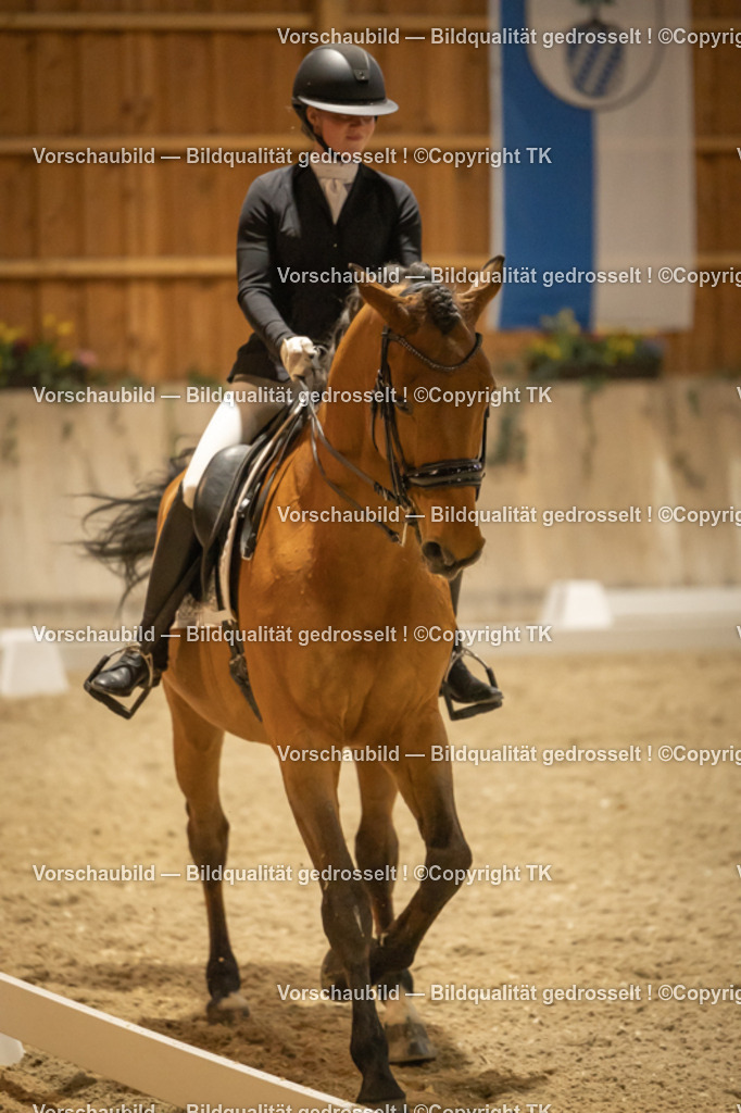 _D5A3968 | Emotionale Pferde- & People-Fotografie rund um Heidelberg, Leimen & Umgebung. Natürliche Fotos von Pferd, Mensch & Familie. Jetzt Termin sichern!