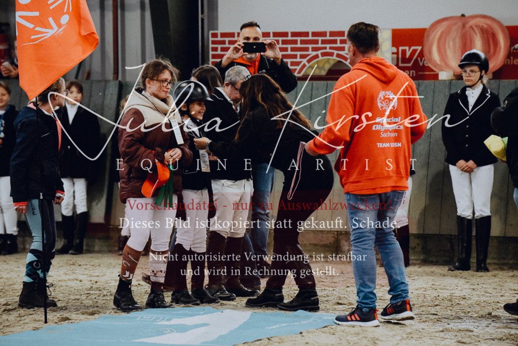 DSC_7018 | Pferde- und Turnierfotografie in Westsachsen. Pferdeportraits, Auftragszeichnungen und intuitive Kunst.