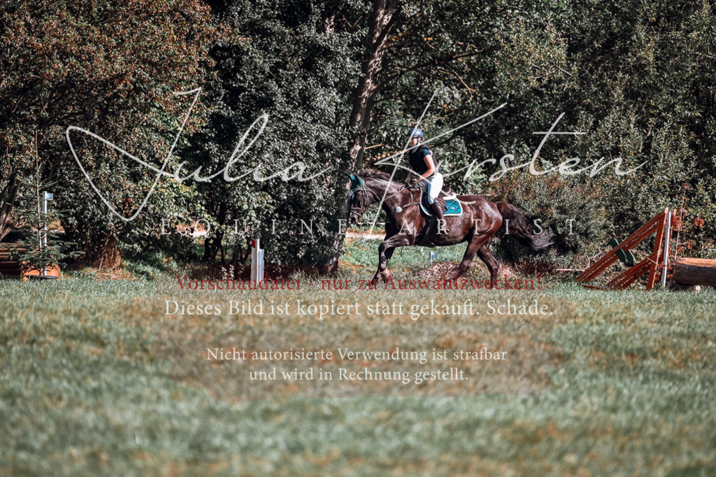 DSC_0910 | Pferde- und Turnierfotografie in Westsachsen. Pferdeportraits, Auftragszeichnungen und intuitive Kunst.