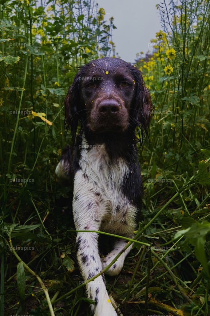 _76A8815 | petespics