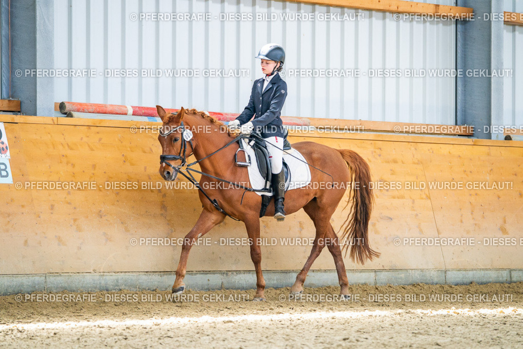 DSC03275 | Pferdegrafie