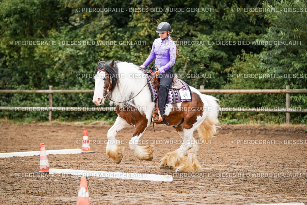 DSC03453 | Pferdegrafie