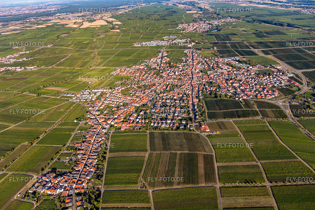 Ortsansicht | Luftbild: Ortsansicht in Maikammer im Bundesland Rheinland-Pfalz in Deutschland. Foto: IMG_111782.jpg vom 16.09.2018 durch Werner Riehm/FLY-FOTO.de - Realisiert mit Pictrs.com