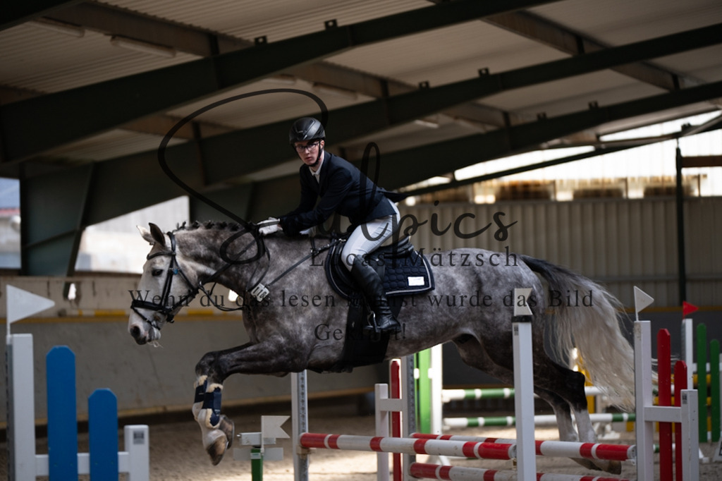 A7V06905 | Pferdefotograf