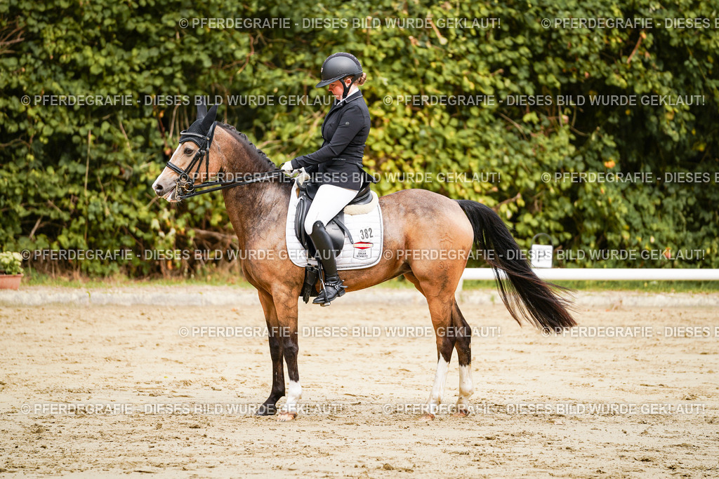 DSC02515 | Pferdegrafie