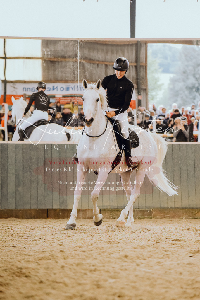 DSC_6974 | Pferde- und Turnierfotografie in Westsachsen. Pferdeportraits, Auftragszeichnungen und intuitive Kunst.
