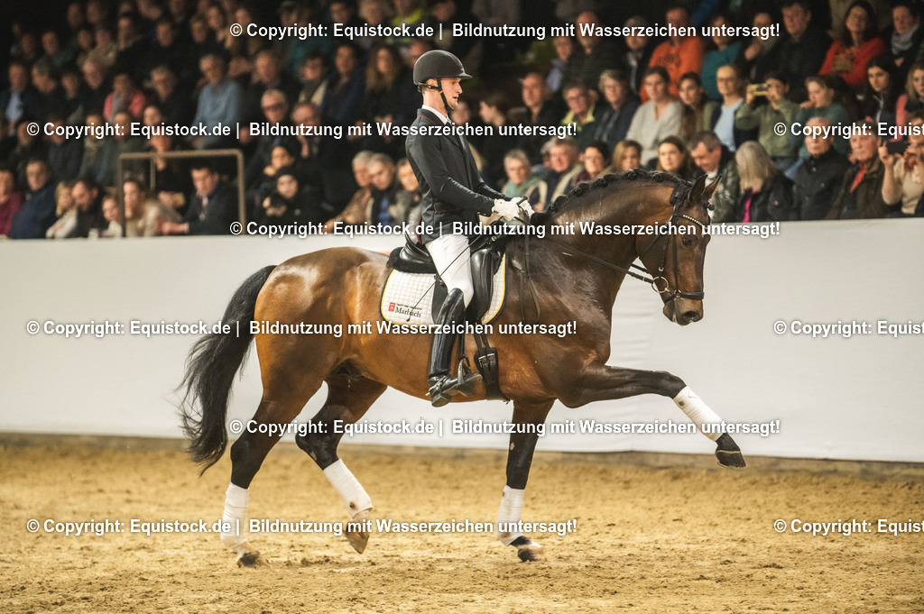 20240302_Hengstvorstellung_Marbach_TOMsPiC_1261-2 | equistock