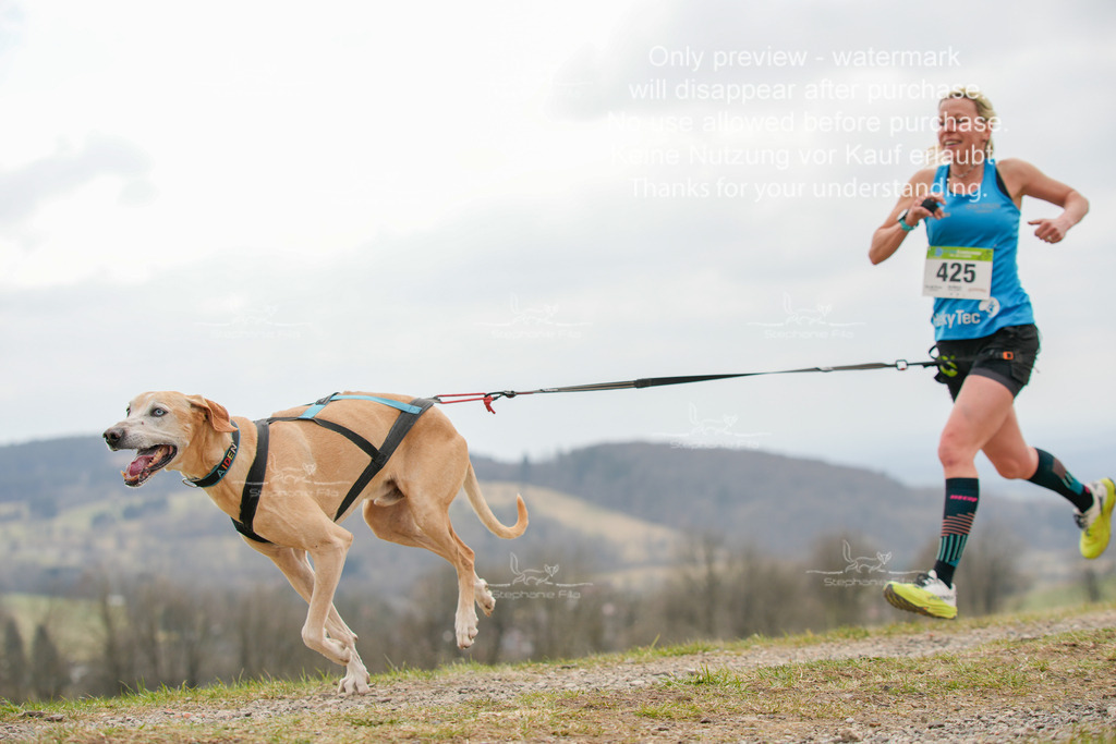 CaniXRunSA-159 | stephaniefillaphotographie - Realisiert mit Pictrs.com
