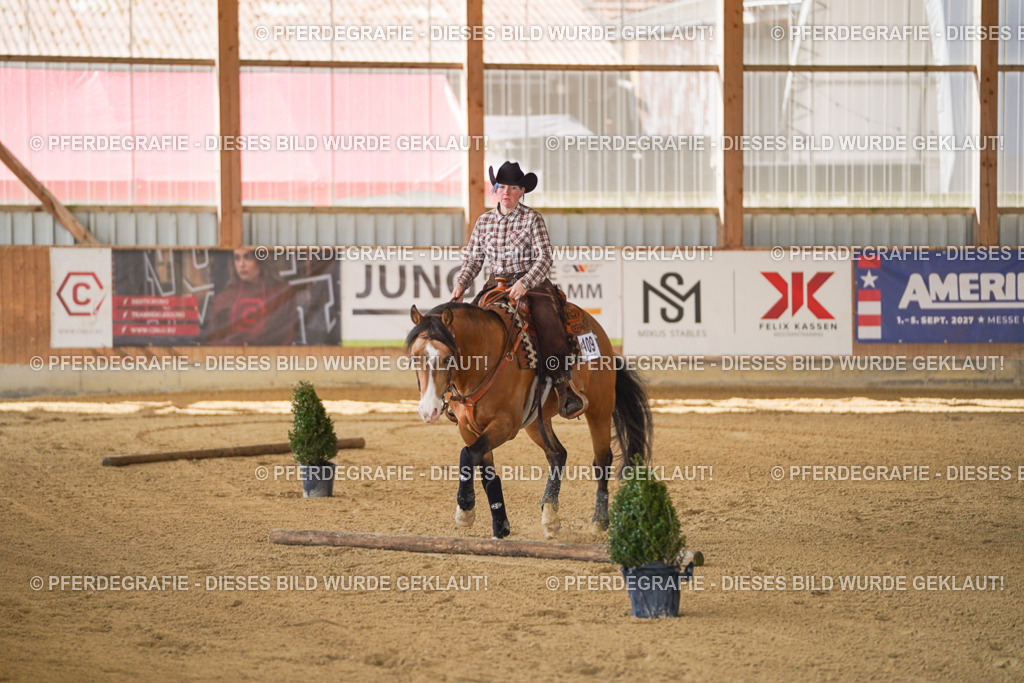 DSC06942 | Pferdegrafie