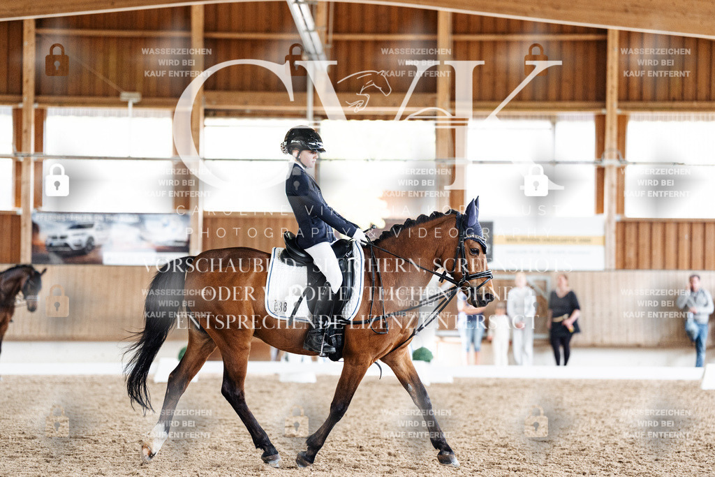 CK901524 | Turnierfotografie Pferdefotografie Trier Rheinland-Pfalz Pferdesport Reitsport Tierfotografie Sportfotografie Pferdevideo Pferdevideografie Equestrianvideography equestrianphotography  - Realisiert mit Pictrs.com