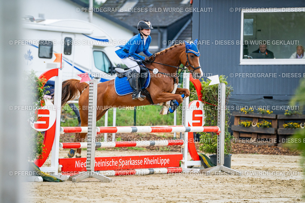 DSC02764 | Pferdegrafie